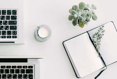 公园藏着“空中赛道”